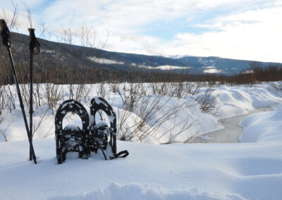 snowshoes & poles in the snowbank